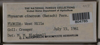 Image Associated With the Occurence